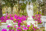 Bonaventure Cemetery