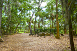Wormsloe Burial Ground
