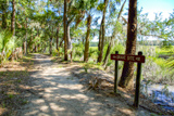 Wormsloe Historic Site Trail
