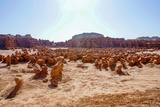Goblin Valley