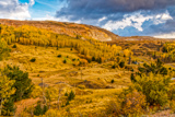 Mollie Kathleen Gold Mine