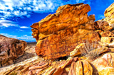 Newspaper Rock