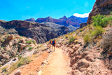 Bright Angel Trail