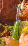Ribbon Falls