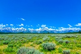 Mount Moran Turnout