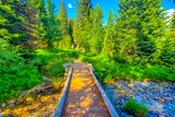 Jenny Lake Loop