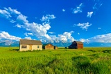 Reed Moulton Homestead