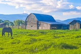 Andy Chambers Homestead