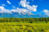 Blacktail Ponds Overlook