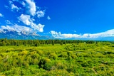 Blacktail Ponds Overlook
