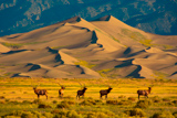 Great Sand Dunes