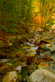 Zapata Falls Trail