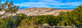 Dunes Overlook Trail