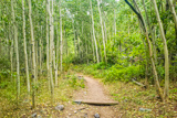 Montville Nature Trail