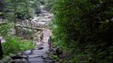 Chimney Tops Trail