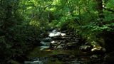 Chimney Tops Trail