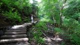 Photos/Images de Great Smoky Mountains National Park