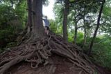Chimney Tops Trail