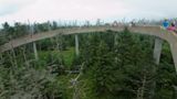 Clingmans Dome