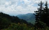 Newfound Gap Road