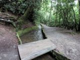 Mingus Mill