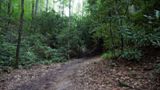 Loop Trail