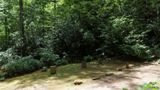 Loop Trail