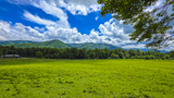 Cades Cove Loop Road