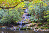 Toms Branch Falls