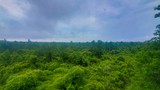 Gulf State Park