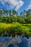 Gulf State Park