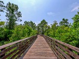 Hugh S. Branyon Backcountry Trail