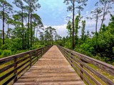 Hugh S. Branyon Backcountry Trail