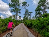 Photos/Images de Gulf State Park