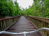 Hugh S. Branyon Backcountry Trail