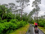 Photos/Images de Gulf State Park