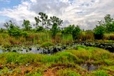 Gulf State Park