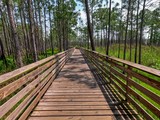 Hugh S. Branyon Backcountry Trail
