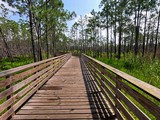 Photos/Images de Gulf State Park