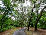 Hugh S. Branyon Backcountry Trail
