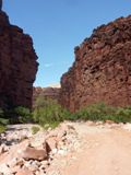 Havasu Canyon Trail
