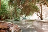 Aux pieds de Mooney Falls