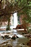 Aux pieds de Mooney Falls