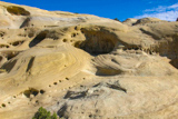 Twenty Mile Dinosaur Trackway