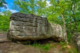 Photos/Images de Horse Pens 40