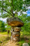 Mushroom Rock