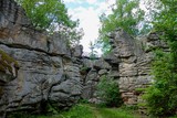 Horse Pens 40
