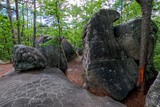 Photos/Images de Horse Pens 40