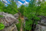 Vue de la plateforme d'observation