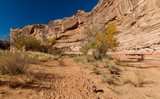 Horseshoe Canyon